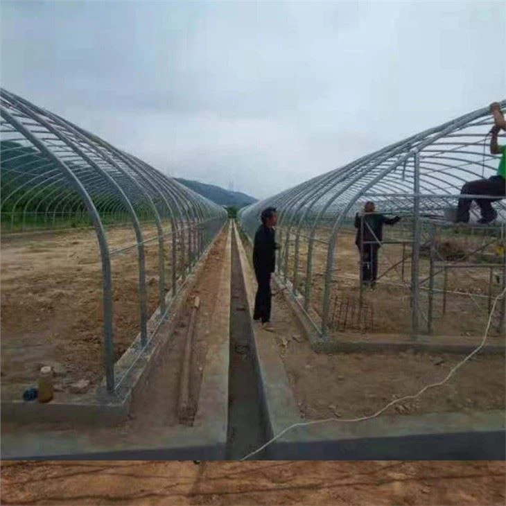 Mini Tunnel Greenhouse Price