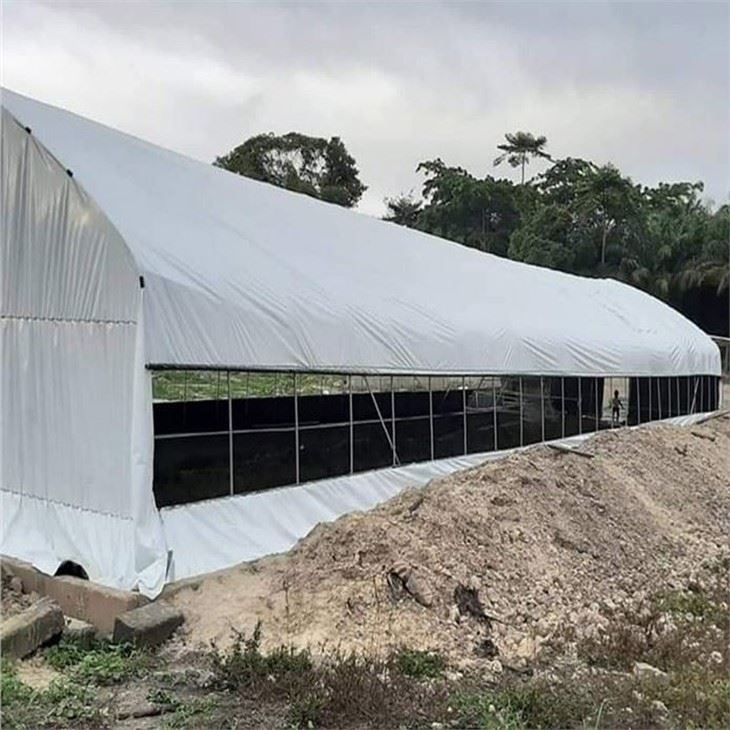 Film Greenhouse Glass Greenhouse PC Greenhouse With Irrigation Hydroponic System For Mushroom Vegetable