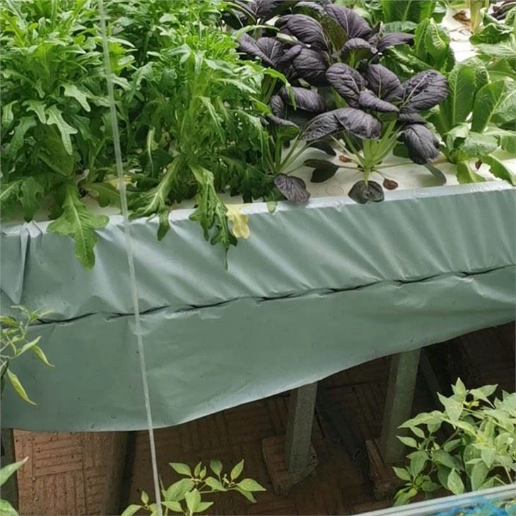 NFT Floating System For Lettuce
