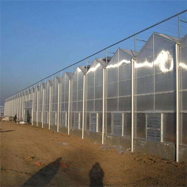 Polycarbonate Greenhouse