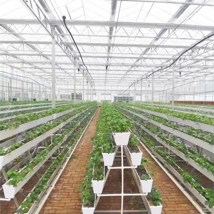 PVC Strawberry Planting Gutter