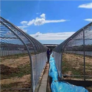 Singlespan Film siltumnīca