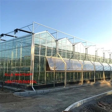 Kādas ir stikla siltumnīcu ventilācijas metodes?